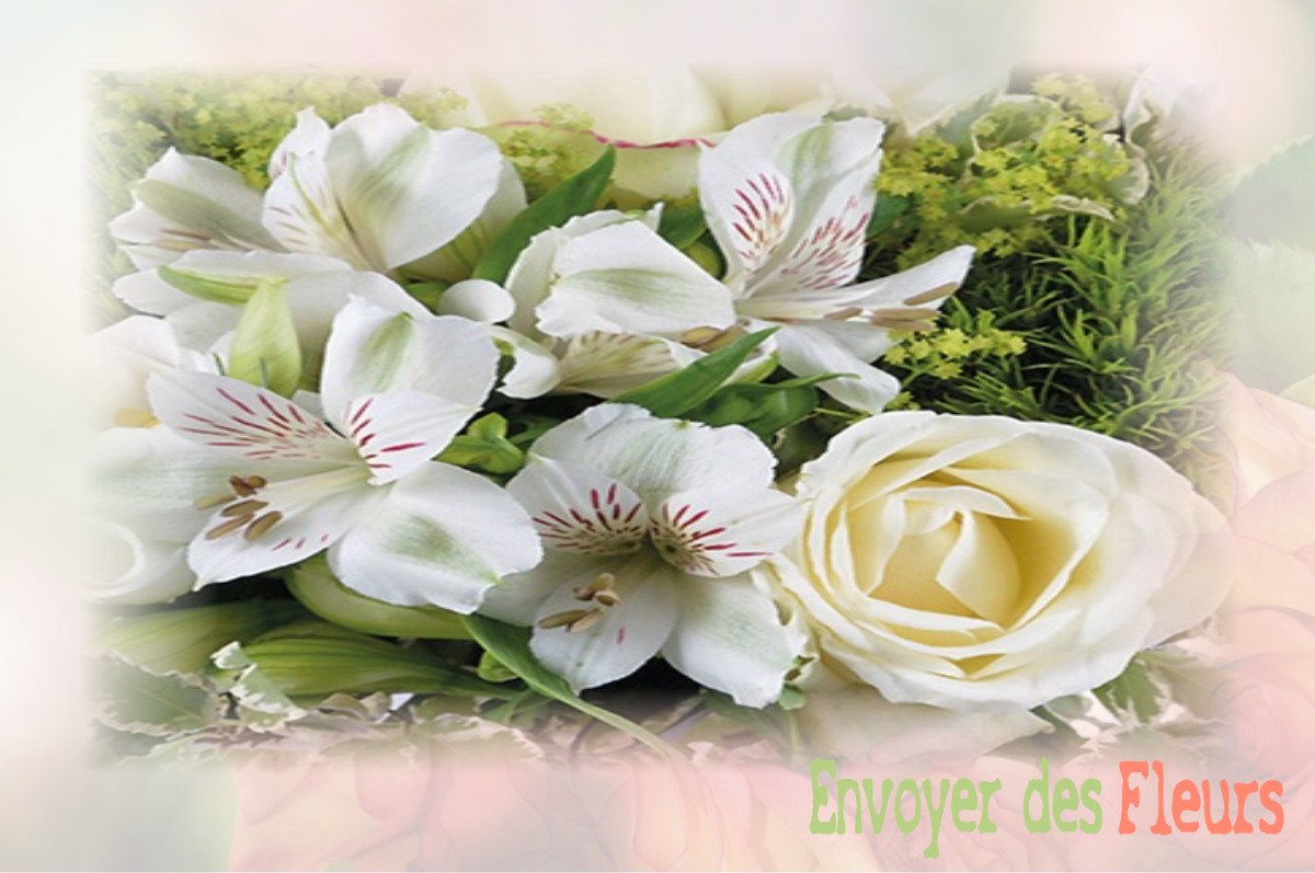 envoyer des fleurs à à VILLENEUVE-SAINT-NICOLAS