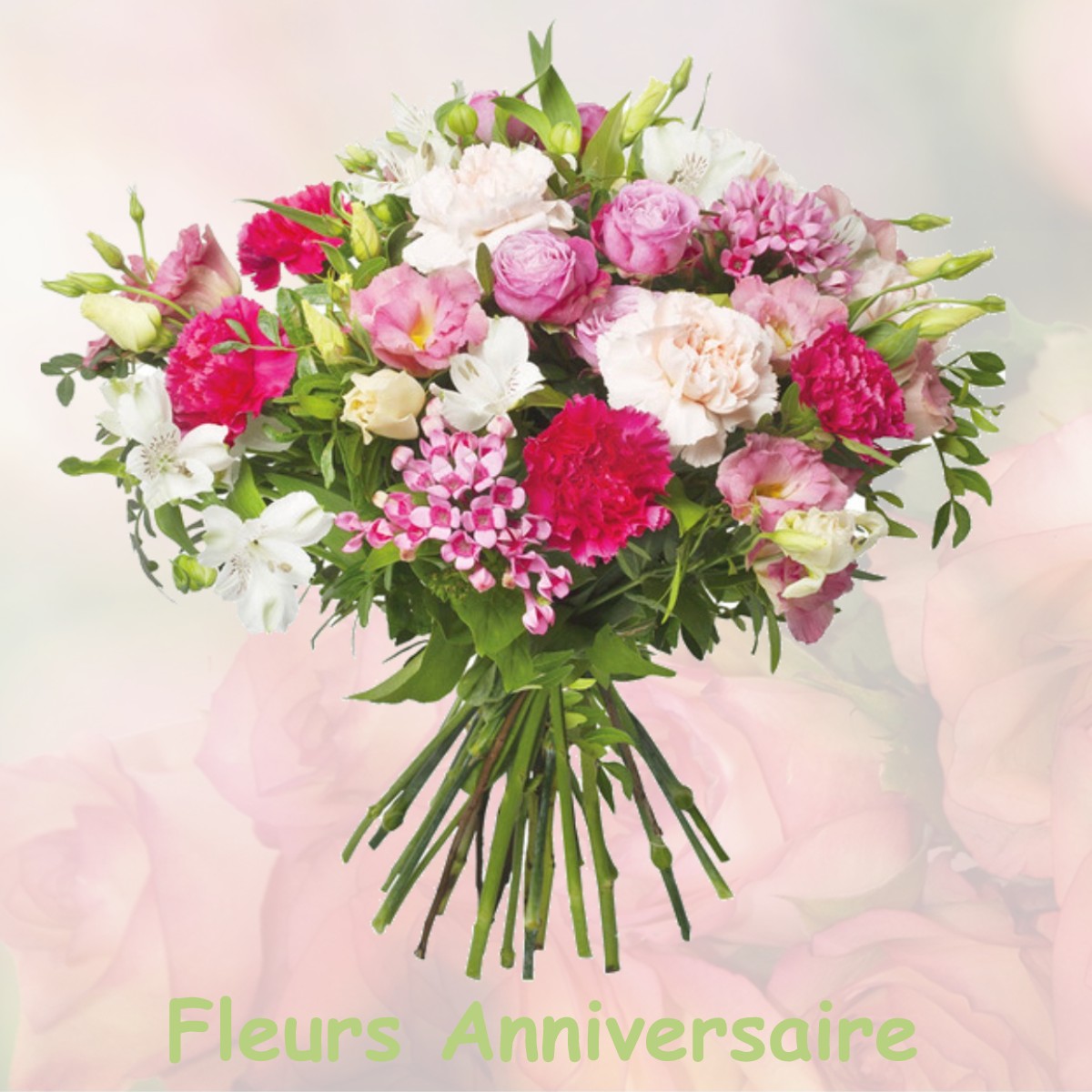 fleurs anniversaire VILLENEUVE-SAINT-NICOLAS